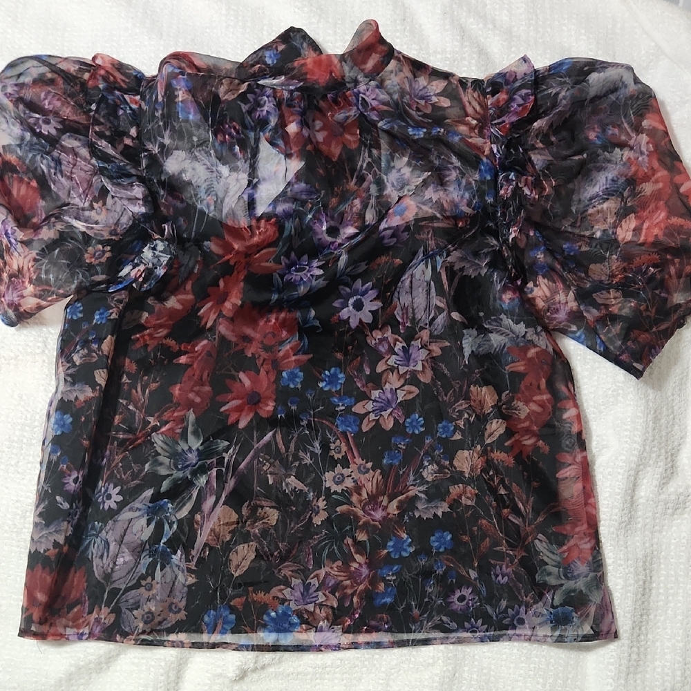 Anthropologie Multicolor Floral Sheer Blouse